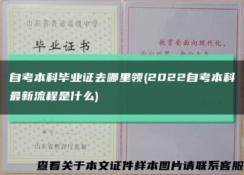 自考本科毕业证去哪里领(2022自考本科最新流程是什么)缩略图