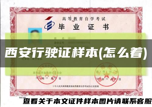 西安行驶证样本(怎么着)缩略图