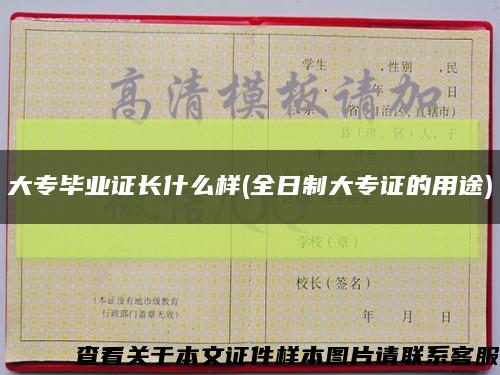 大专毕业证长什么样(全日制大专证的用途)缩略图