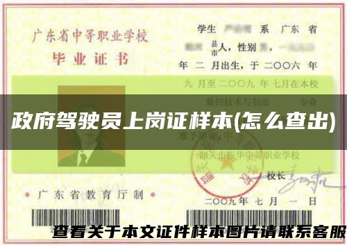 政府驾驶员上岗证样本(怎么查出)缩略图