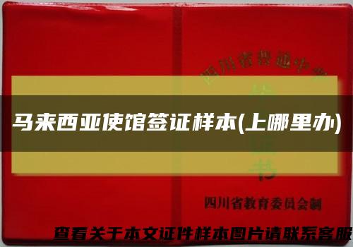 马来西亚使馆签证样本(上哪里办)缩略图