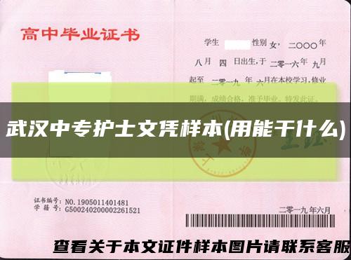 武汉中专护士文凭样本(用能干什么)缩略图