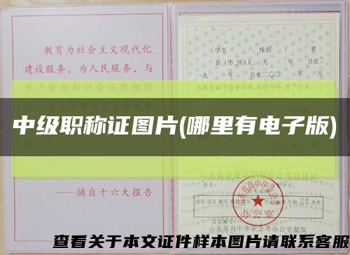 中级职称证图片(哪里有电子版)缩略图
