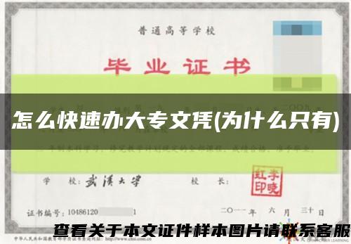 怎么快速办大专文凭(为什么只有)缩略图