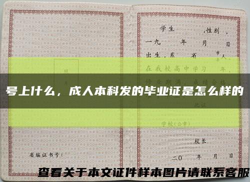 号上什么，成人本科发的毕业证是怎么样的缩略图