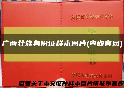 广西壮族身份证样本图片(查询官网)缩略图