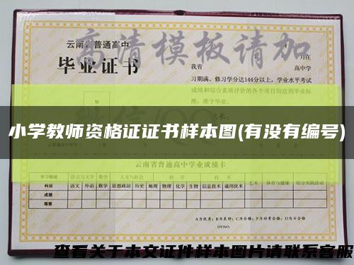 小学教师资格证证书样本图(有没有编号)缩略图