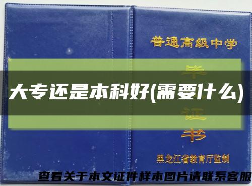 大专还是本科好(需要什么)缩略图