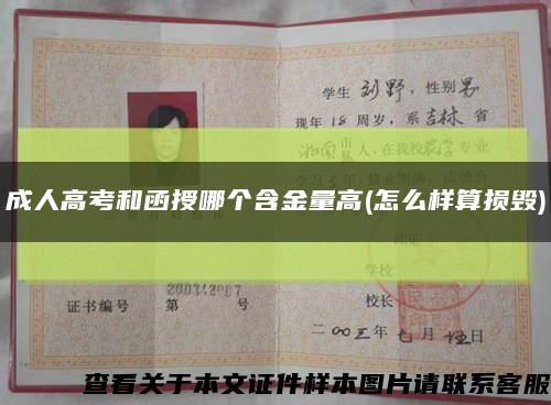 成人高考和函授哪个含金量高(怎么样算损毁)缩略图