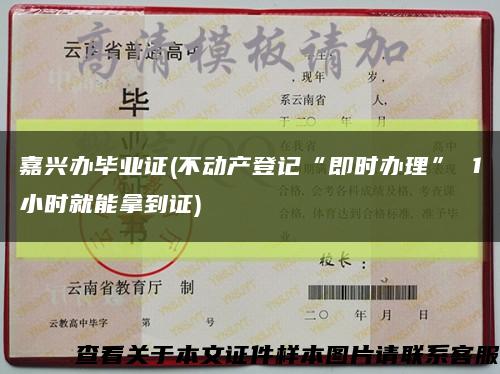 嘉兴办毕业证(不动产登记“即时办理” 1小时就能拿到证)缩略图