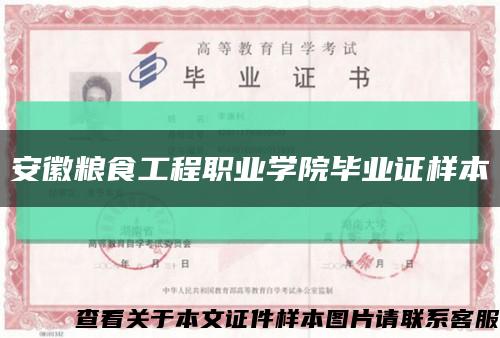安徽粮食工程职业学院毕业证样本缩略图