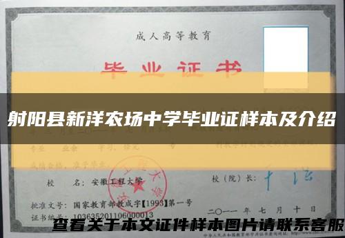 射阳县新洋农场中学毕业证样本及介绍缩略图
