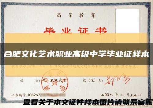 合肥文化艺术职业高级中学毕业证样本缩略图