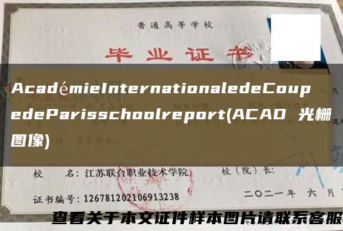 AcadémieInternationaledeCoupedeParisschoolreport(ACAD 光栅图像)缩略图
