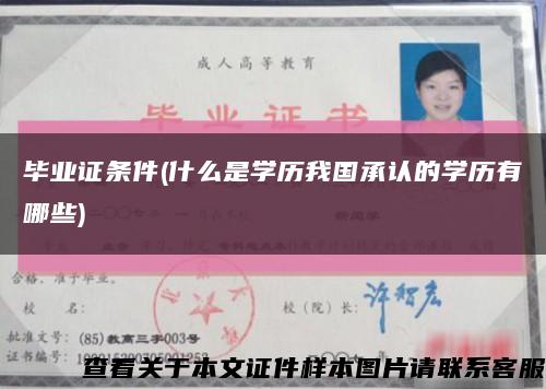 毕业证条件(什么是学历我国承认的学历有哪些)缩略图