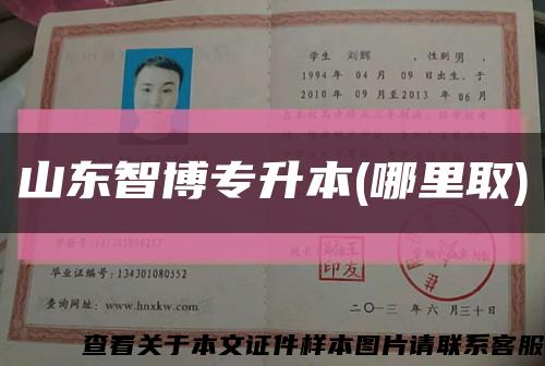 山东智博专升本(哪里取)缩略图