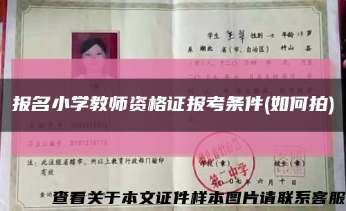 报名小学教师资格证报考条件(如何拍)缩略图