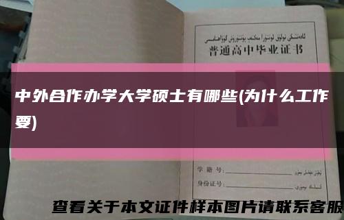 中外合作办学大学硕士有哪些(为什么工作要)缩略图