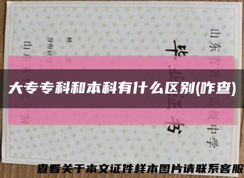 大专专科和本科有什么区别(咋查)缩略图