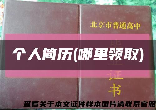 个人简历(哪里领取)缩略图