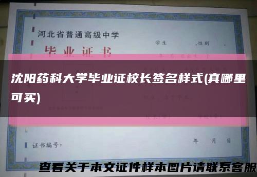 沈阳药科大学毕业证校长签名样式(真哪里可买)缩略图
