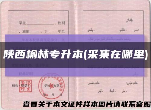 陕西榆林专升本(采集在哪里)缩略图