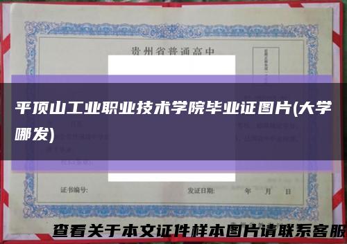 平顶山工业职业技术学院毕业证图片(大学哪发)缩略图