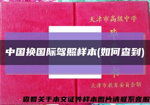 中国换国际驾照样本(如何查到)缩略图