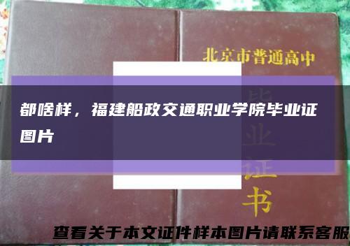 都啥样，福建船政交通职业学院毕业证 图片缩略图