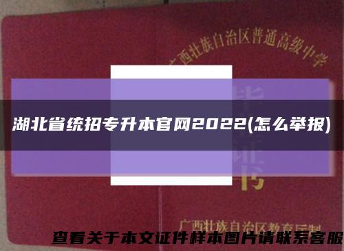 湖北省统招专升本官网2022(怎么举报)缩略图