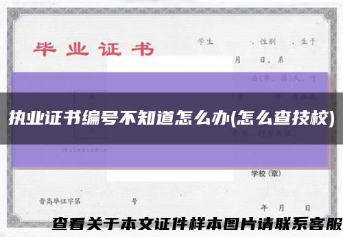 执业证书编号不知道怎么办(怎么查技校)缩略图