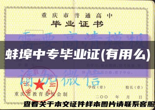 蚌埠中专毕业证(有用么)缩略图