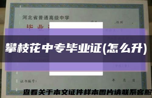 攀枝花中专毕业证(怎么升)缩略图