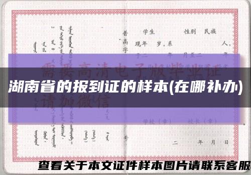 湖南省的报到证的样本(在哪补办)缩略图