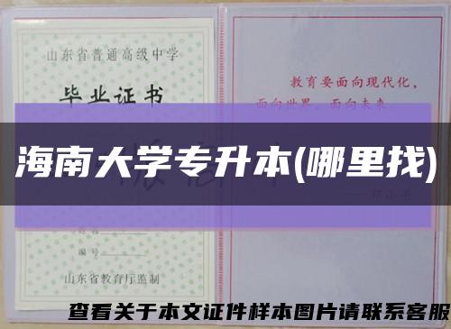 海南大学专升本(哪里找)缩略图