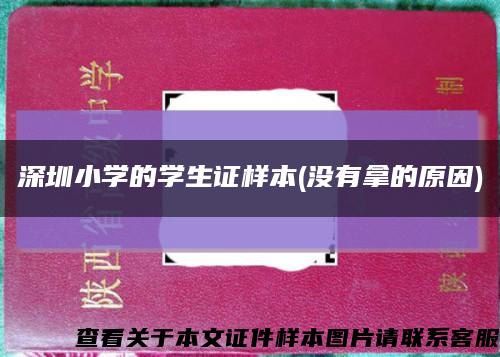 深圳小学的学生证样本(没有拿的原因)缩略图