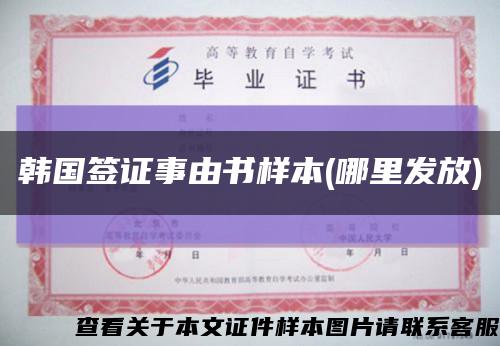 韩国签证事由书样本(哪里发放)缩略图