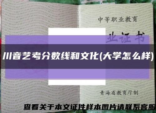 川音艺考分数线和文化(大学怎么样)缩略图