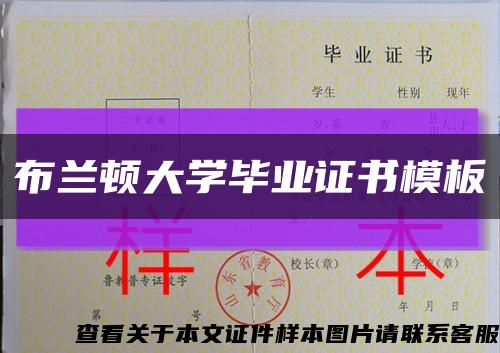 布兰顿大学毕业证书模板缩略图