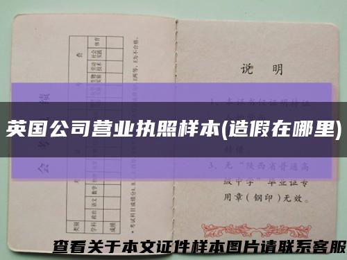英国公司营业执照样本(造假在哪里)缩略图