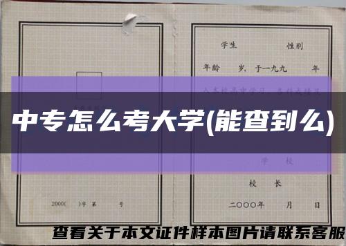 中专怎么考大学(能查到么)缩略图