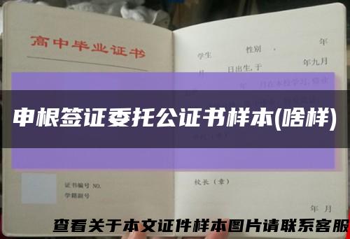 申根签证委托公证书样本(啥样)缩略图