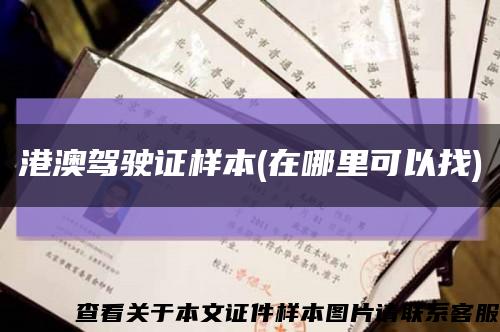 港澳驾驶证样本(在哪里可以找)缩略图