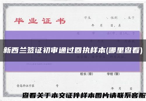 新西兰签证初审通过回执样本(哪里查看)缩略图