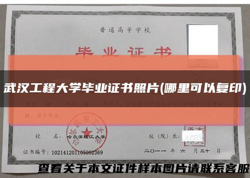 武汉工程大学毕业证书照片(哪里可以复印)缩略图