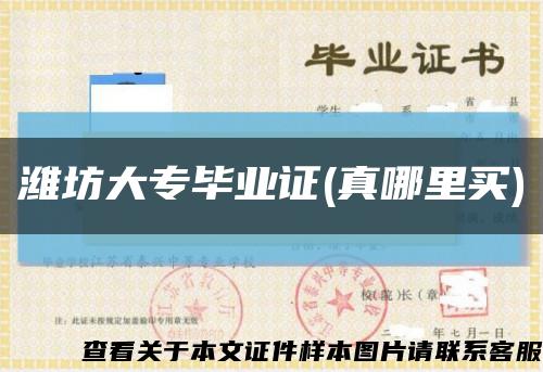 潍坊大专毕业证(真哪里买)缩略图