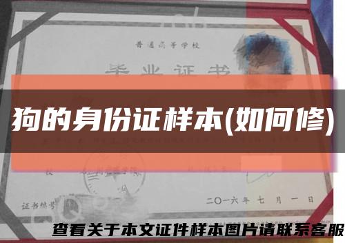 狗的身份证样本(如何修)缩略图