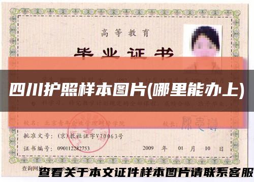 四川护照样本图片(哪里能办上)缩略图