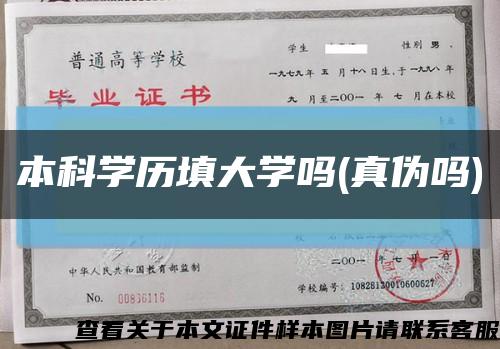 本科学历填大学吗(真伪吗)缩略图