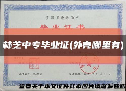 林芝中专毕业证(外壳哪里有)缩略图